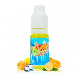 Flacon de e-liquide Citron Orange Mandarine Fruizee 10 ml par Eliquid France