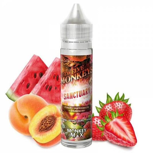 E-liquide Sanctuary 50ML Twelve Monkeys - Saveur fruits rouges pour cigarette électronique